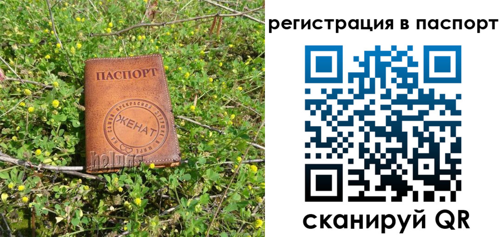 прописка законно в Гатчине